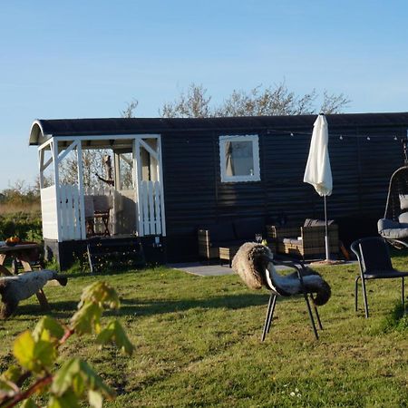 Bed And Breakfast Het Schapenlandje Waarland Exterior foto