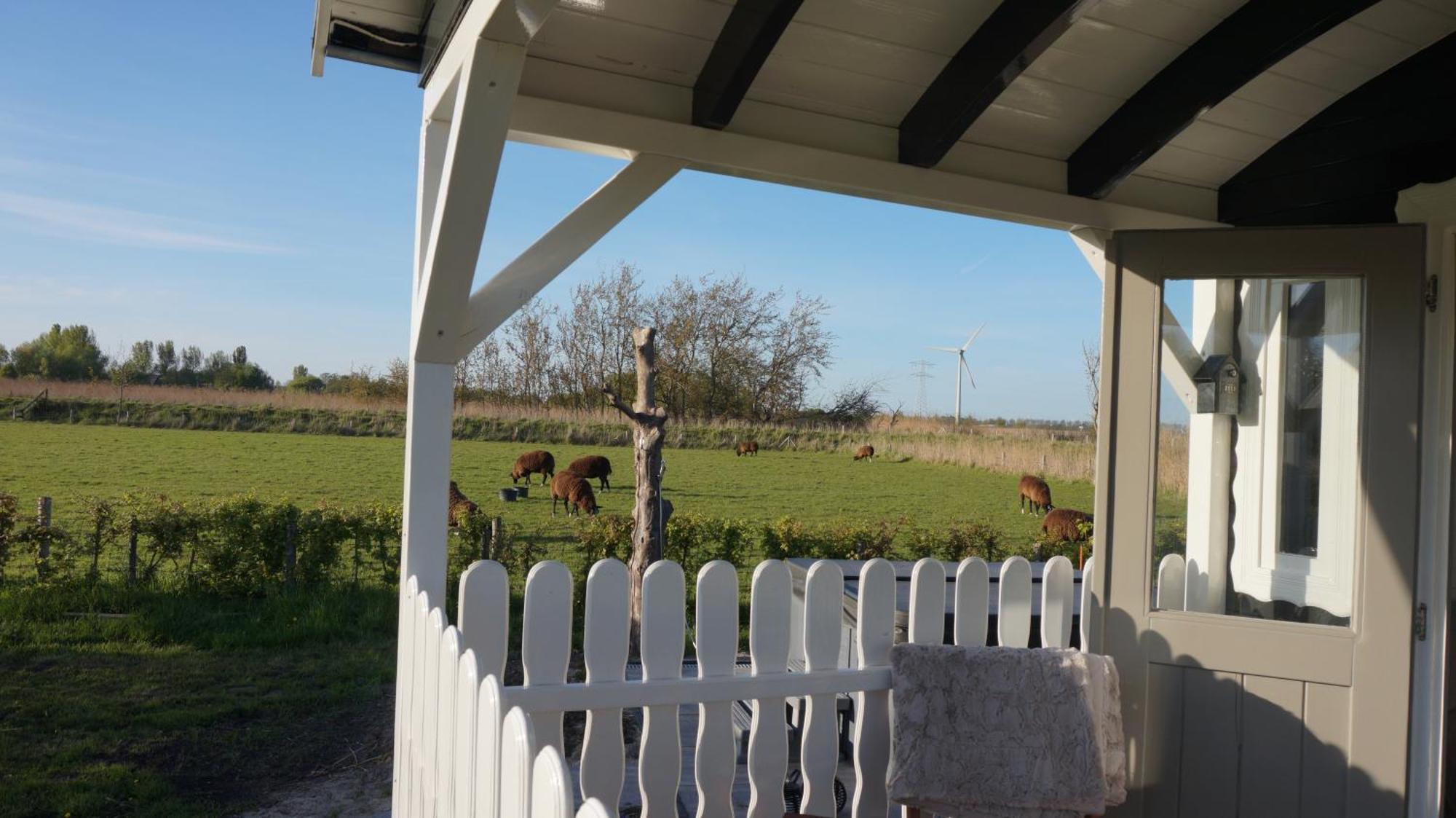 Bed And Breakfast Het Schapenlandje Waarland Exterior foto