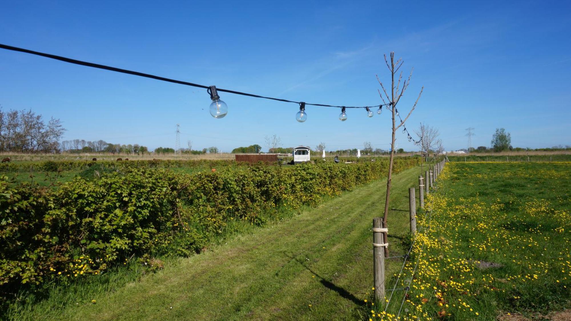 Bed And Breakfast Het Schapenlandje Waarland Exterior foto
